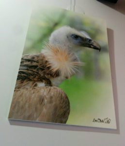 Exposición Emiliano López, La Fabrique Peluqueros Bilbao